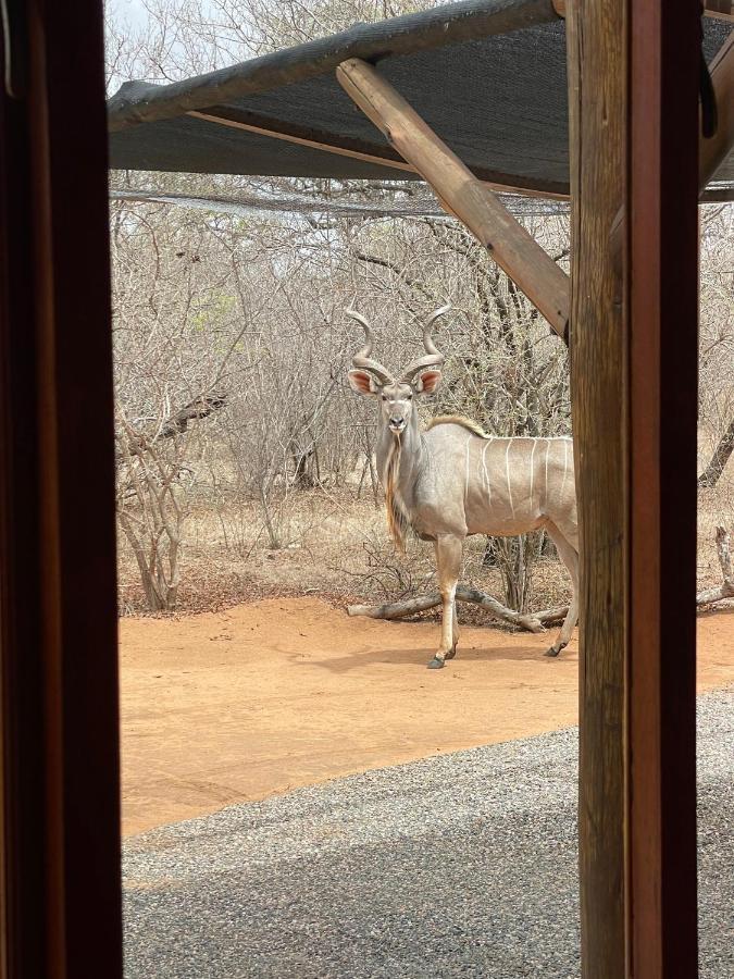 The Cheetah Rest Villa Hoedspruit Exterior photo